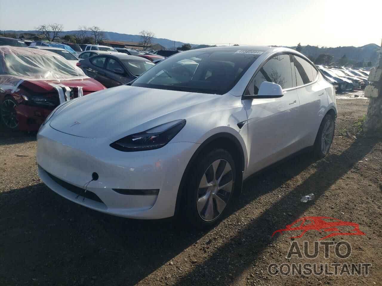 TESLA MODEL Y 2023 - 7SAYGDEE5PF645347