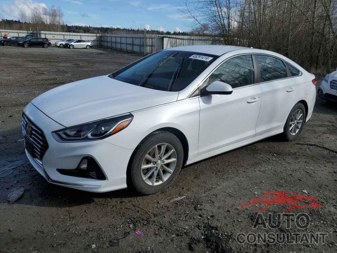 HYUNDAI SONATA 2019 - 5NPE24AF7KH755999