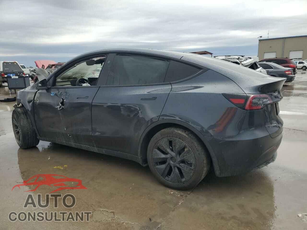 TESLA MODEL Y 2024 - 7SAYGAEE0RF128572