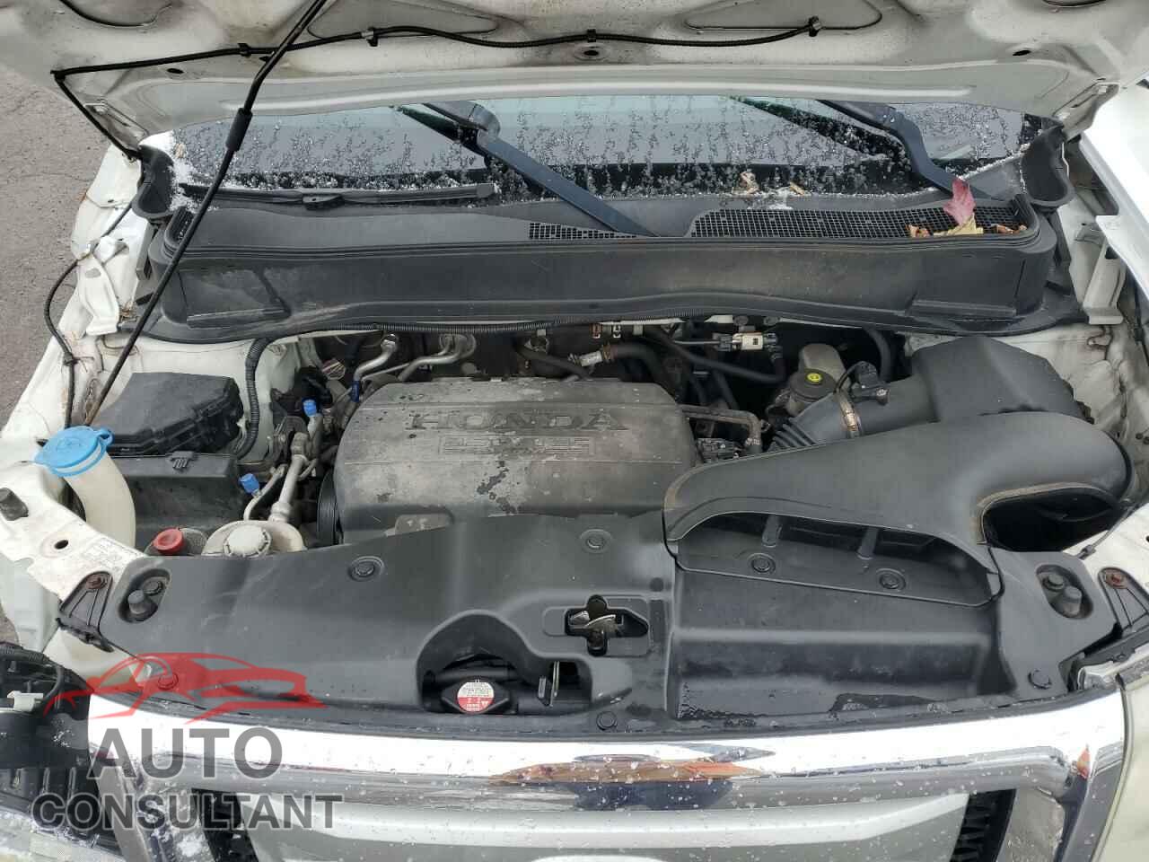 HONDA PILOT 2011 - 5FNYF4H55BB093403