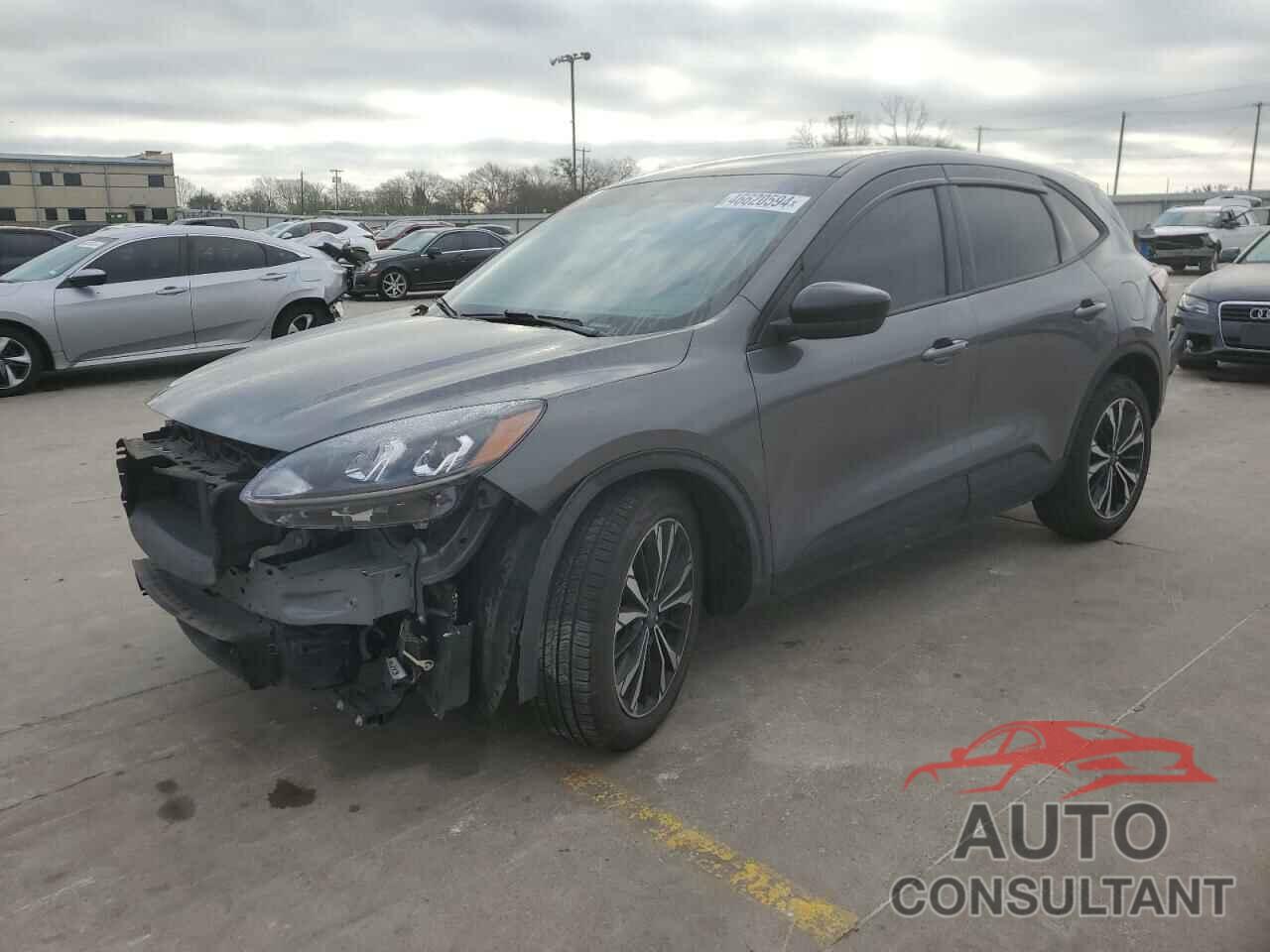 FORD ESCAPE 2021 - 1FMCU0G69MUB31966