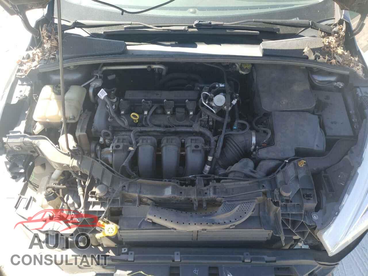 FORD FOCUS 2016 - 1FADP3F24GL396729