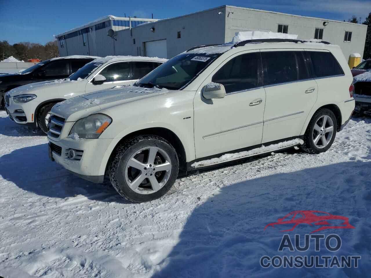 MERCEDES-BENZ GL-CLASS 2009 - 4JGBF25E19A488045