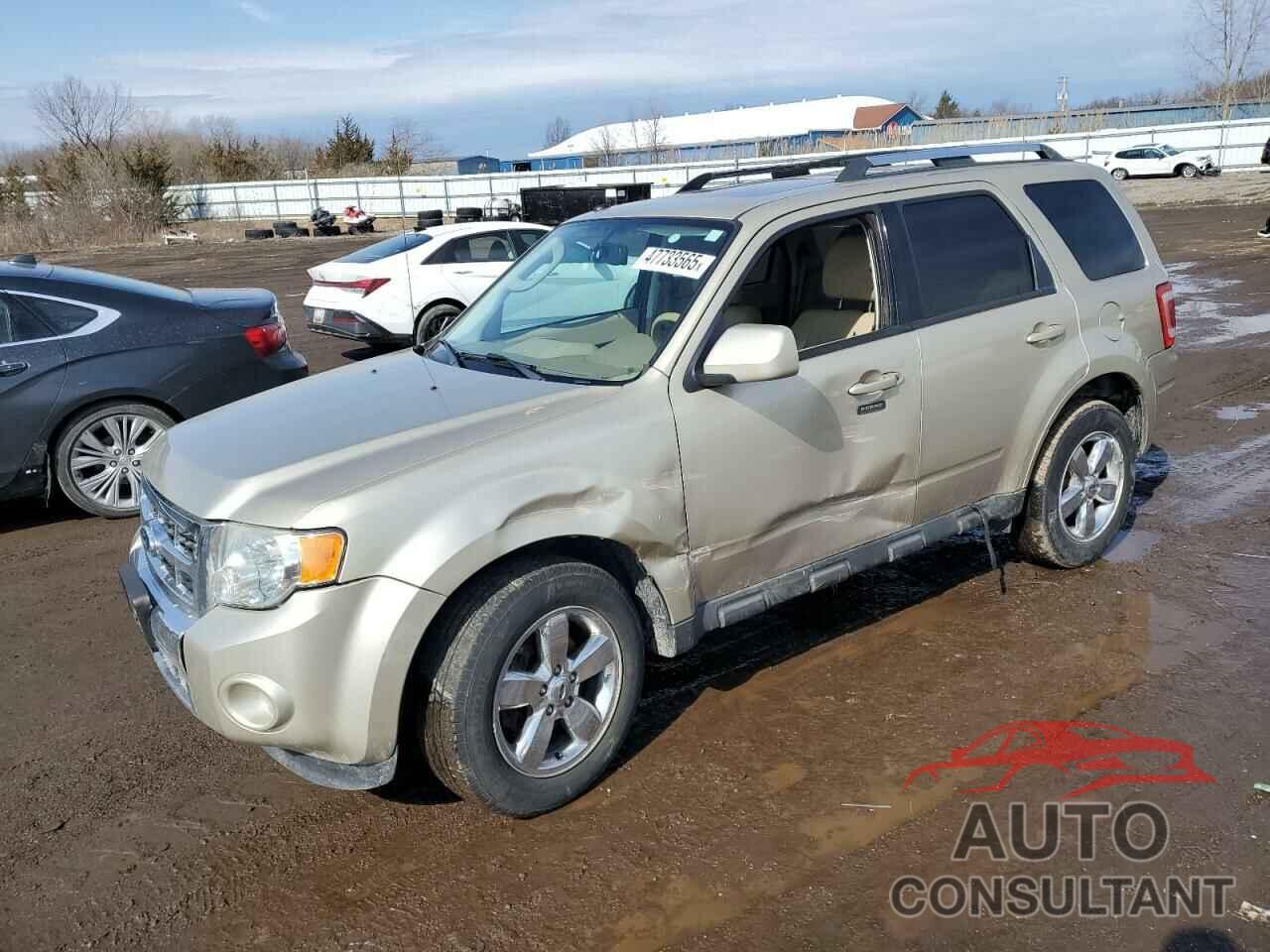 FORD ESCAPE 2011 - 1FMCU0EG8BKA54978