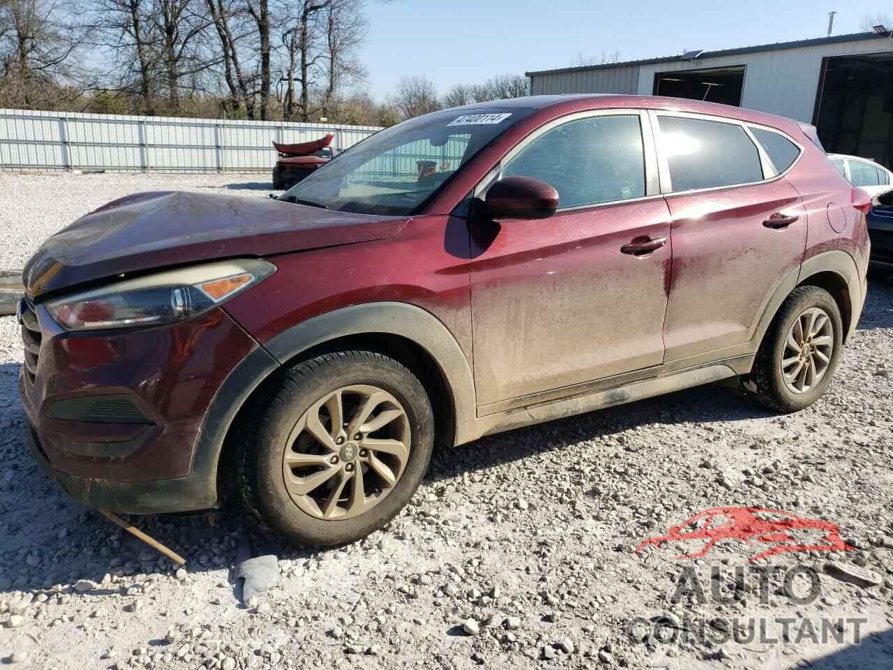 HYUNDAI TUCSON 2017 - KM8J23A48HU291333