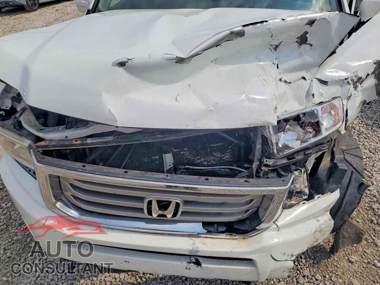 HONDA RIDGELINE 2014 - 5FPYK1F56EB009873