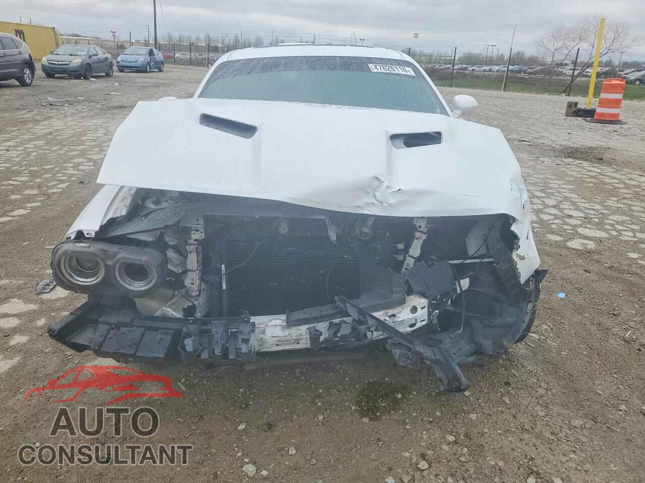 DODGE CHALLENGER 2019 - 2C3CDZAG4KH551715