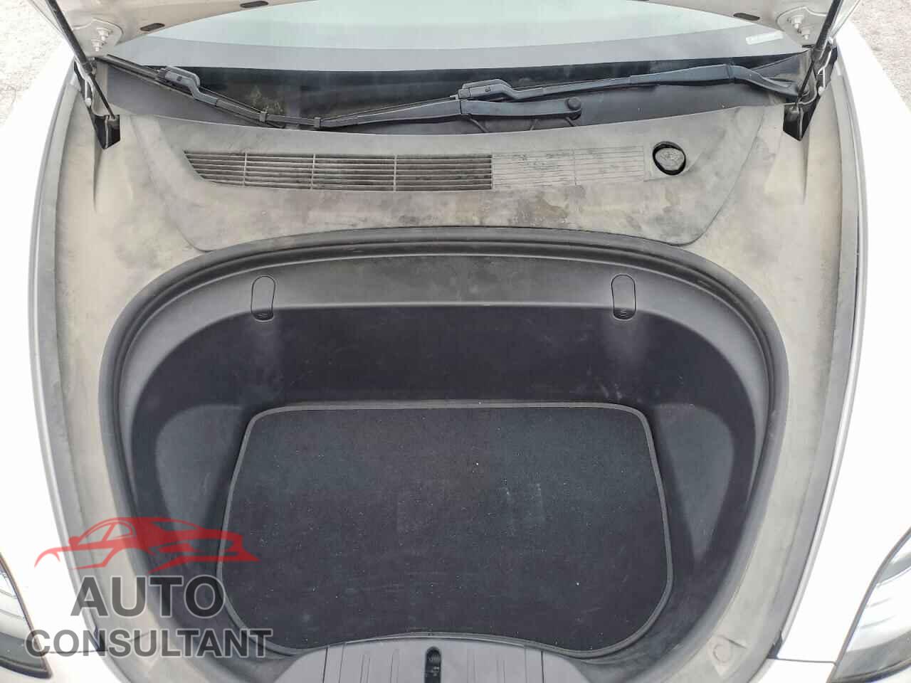 TESLA MODEL 3 2019 - 5YJ3E1EA3KF302019