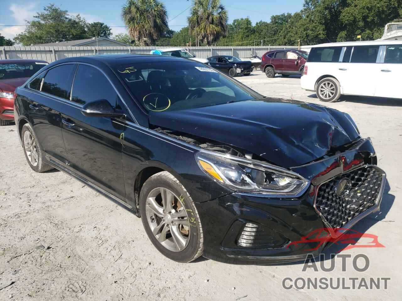 HYUNDAI SONATA 2019 - 5NPE34AFXKH741995