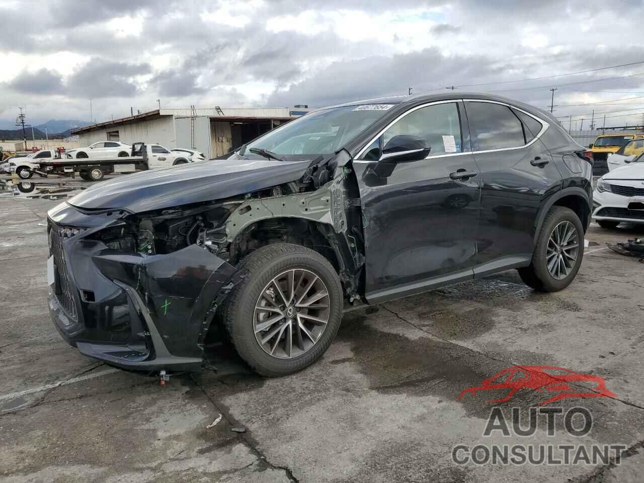 LEXUS NX 250 BAS 2024 - 2T2ADCAZ8RC012886