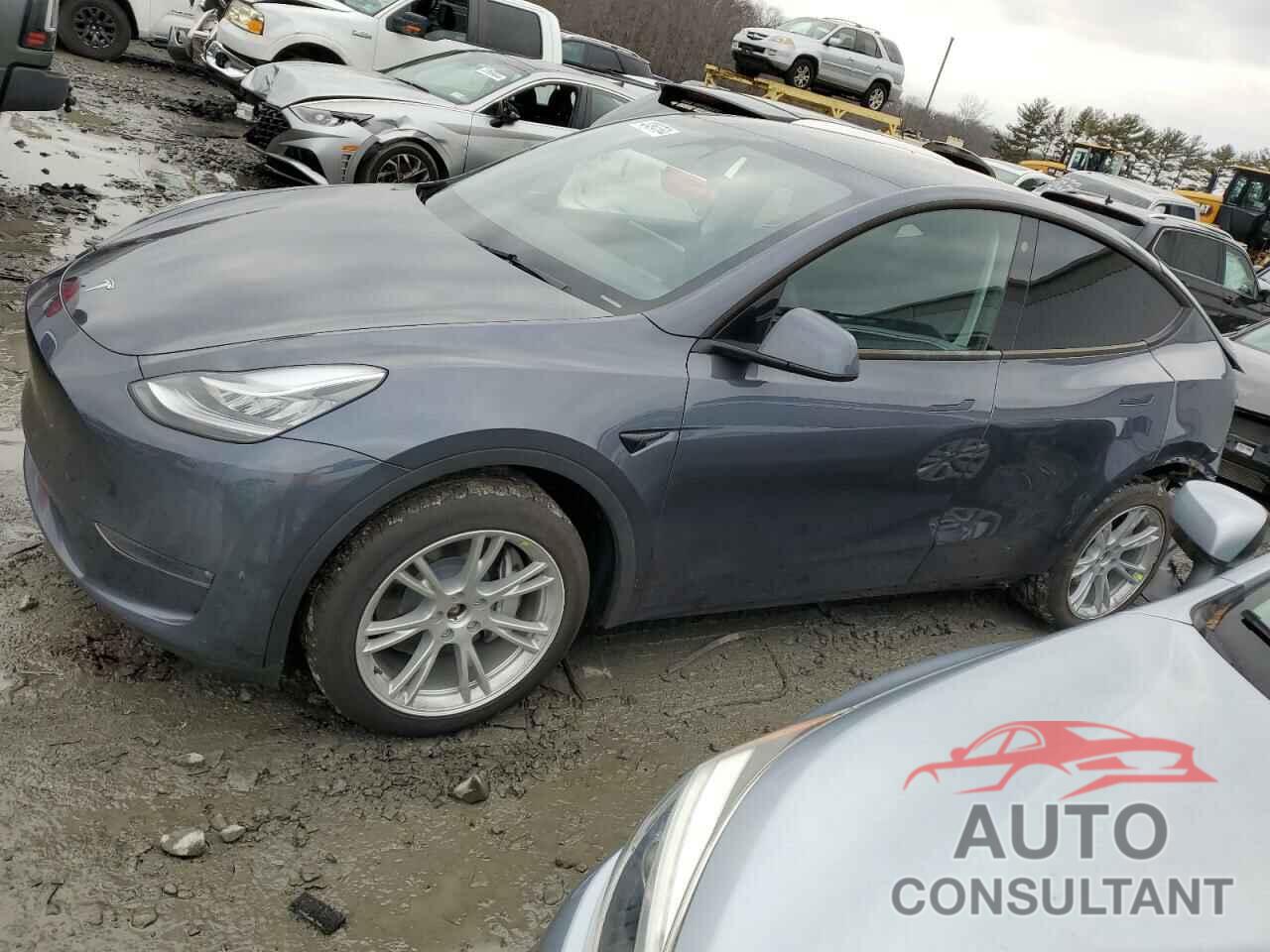 TESLA MODEL Y 2023 - 7SAYGDEE6PA042484