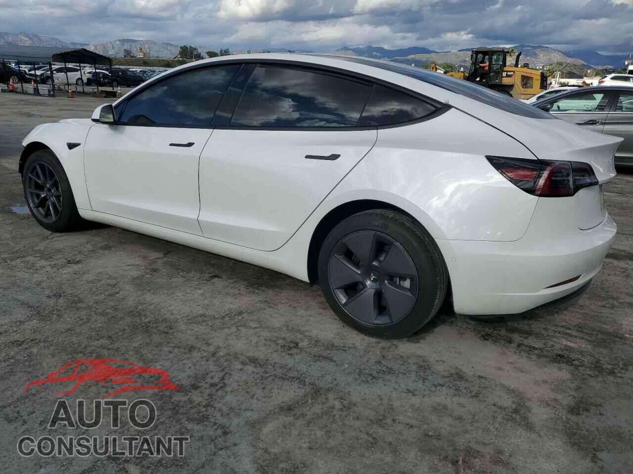 TESLA MODEL 3 2021 - 5YJ3E1EA3MF031711