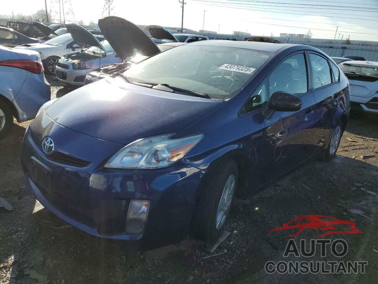 TOYOTA PRIUS 2010 - JTDKN3DU9A1312404