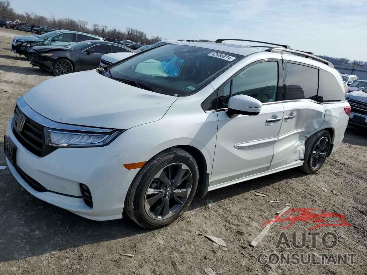 HONDA ODYSSEY 2023 - 5FNRL6H98PB018455