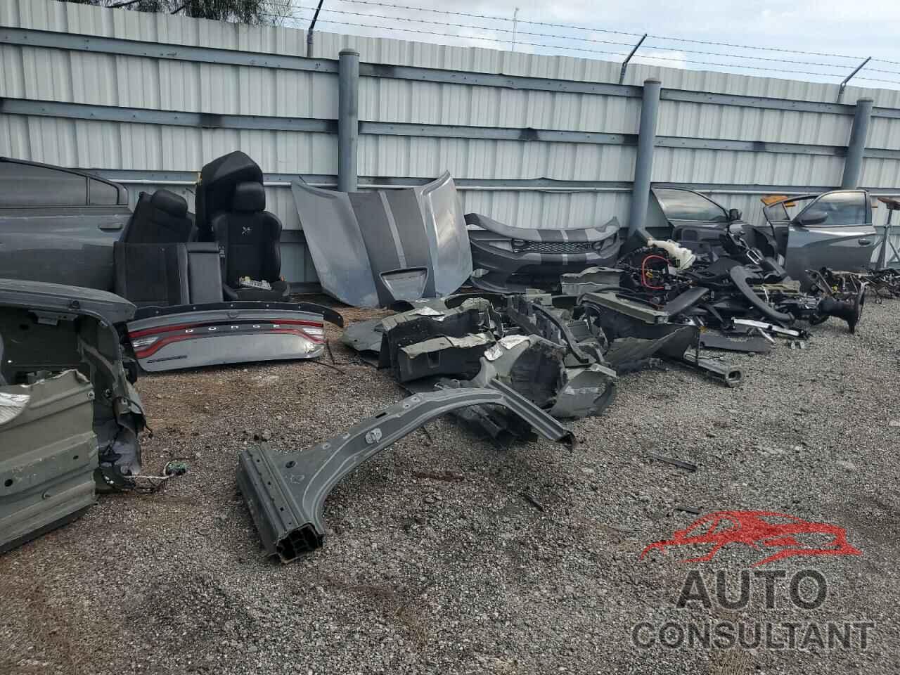 DODGE CHARGER 2019 - 2C3CDXGJ9KH681514