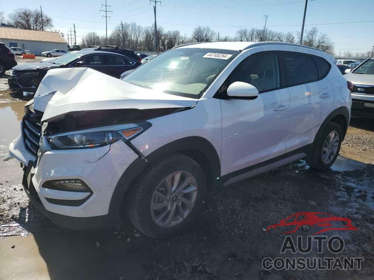 HYUNDAI TUCSON 2017 - KM8J33A42HU554669