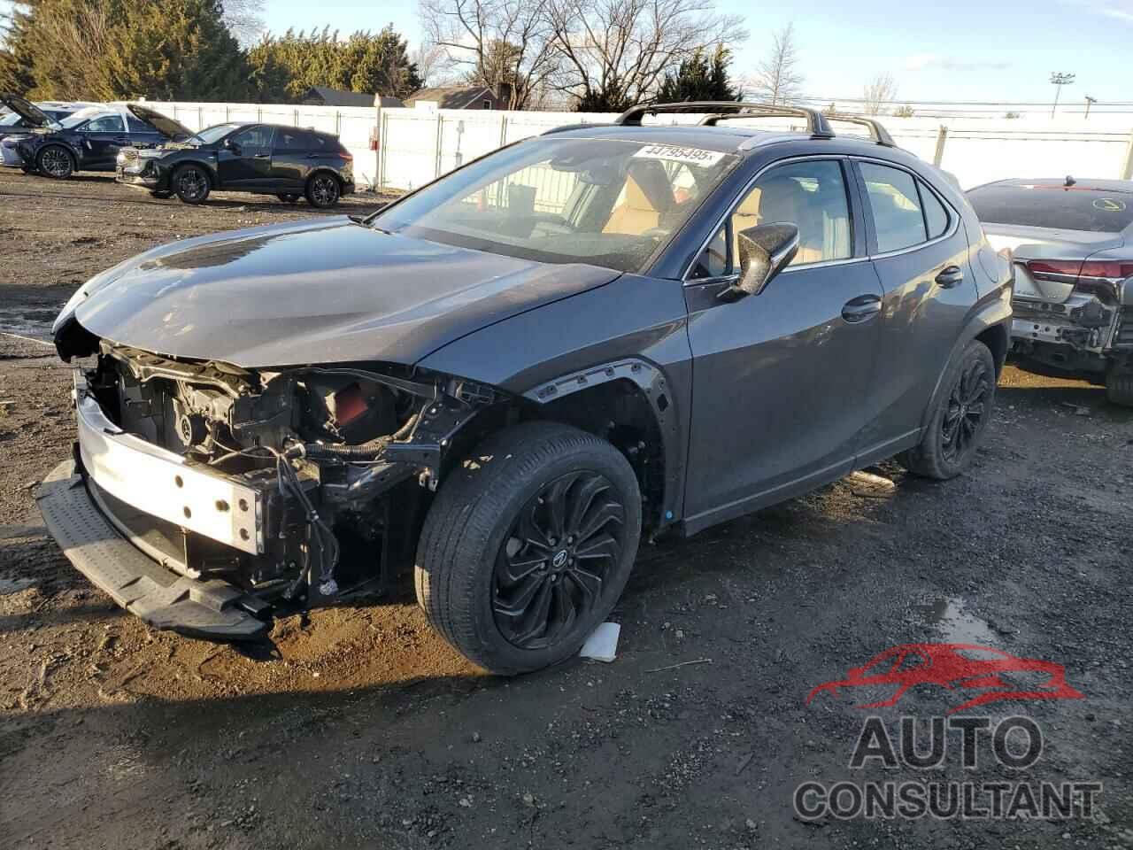 LEXUS UX 250H PR 2024 - JTHP9JBH0R2073933