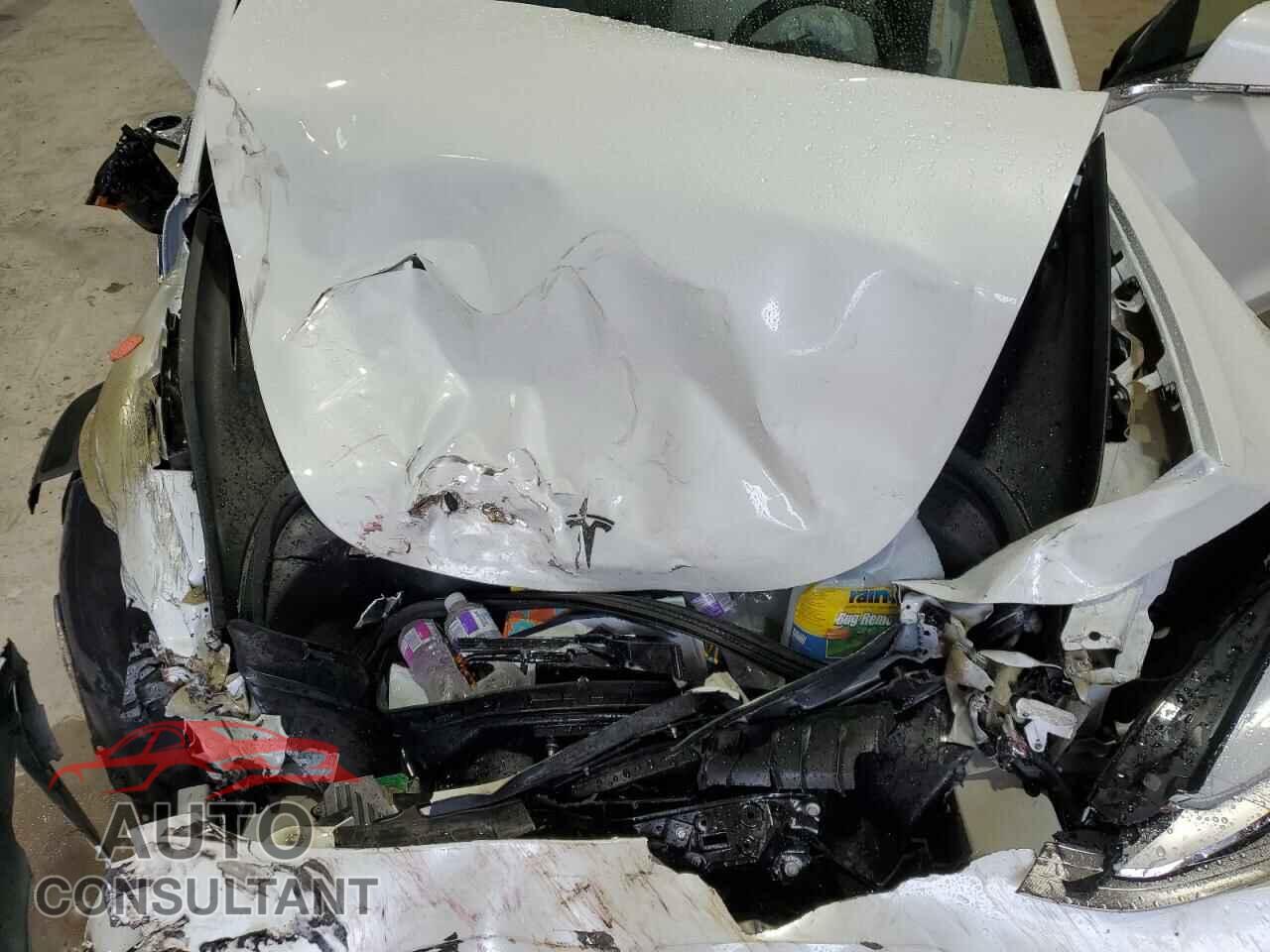 TESLA MODEL 3 2020 - 5YJ3E1EC0LF624801