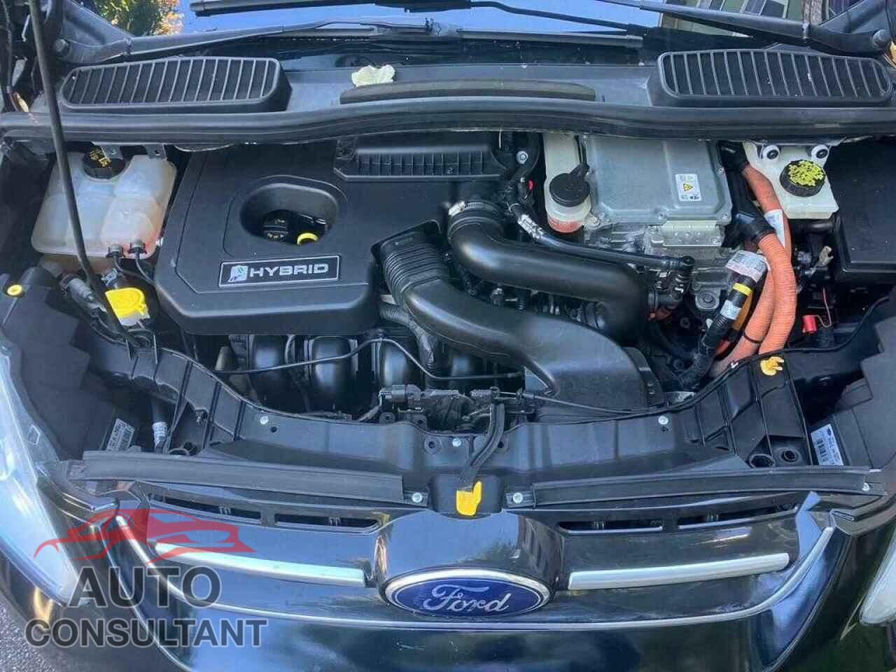 FORD CMAX 2016 - 1FADP5BU0GL114069
