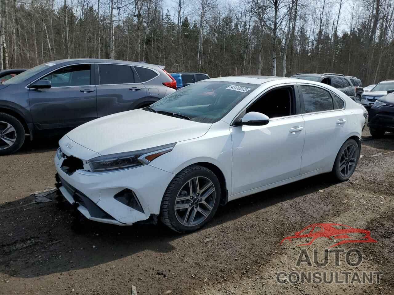 KIA FORTE 2024 - 3KPF34AD1RE823602