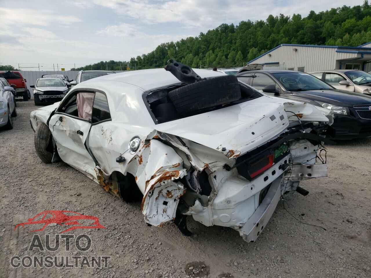 DODGE CHALLENGER 2019 - 2C3CDZAG9KH507600