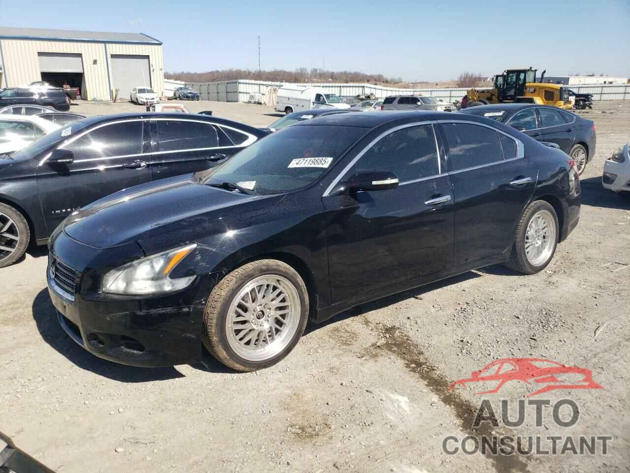 NISSAN MAXIMA 2011 - 1N4AA5AP9BC843437