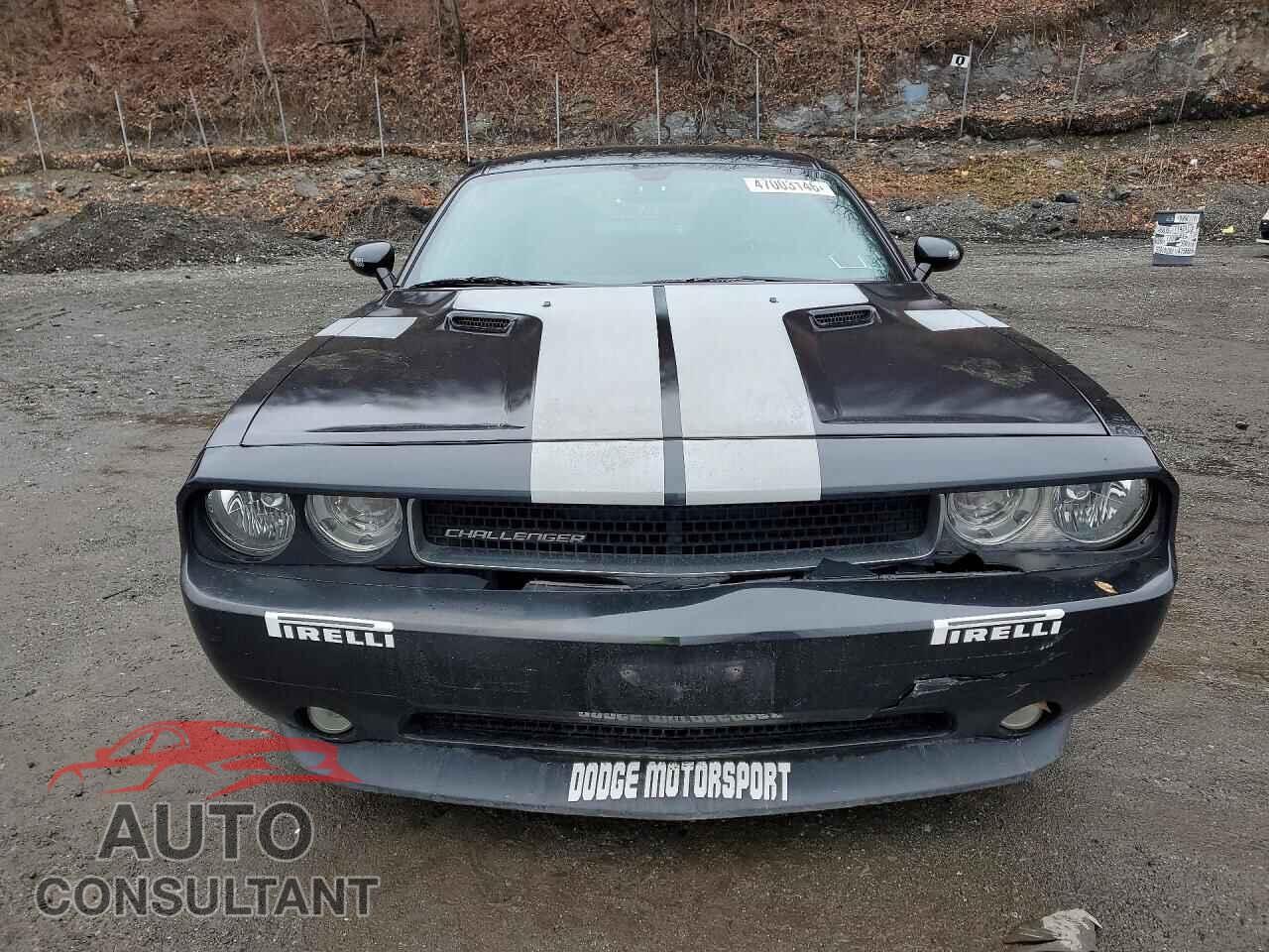 DODGE CHALLENGER 2013 - 2C3CDYAG7DH501730