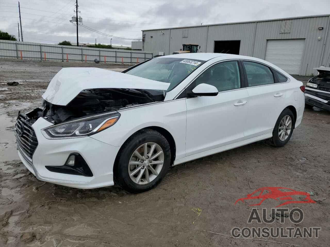HYUNDAI SONATA 2019 - 5NPE24AF9KH781097