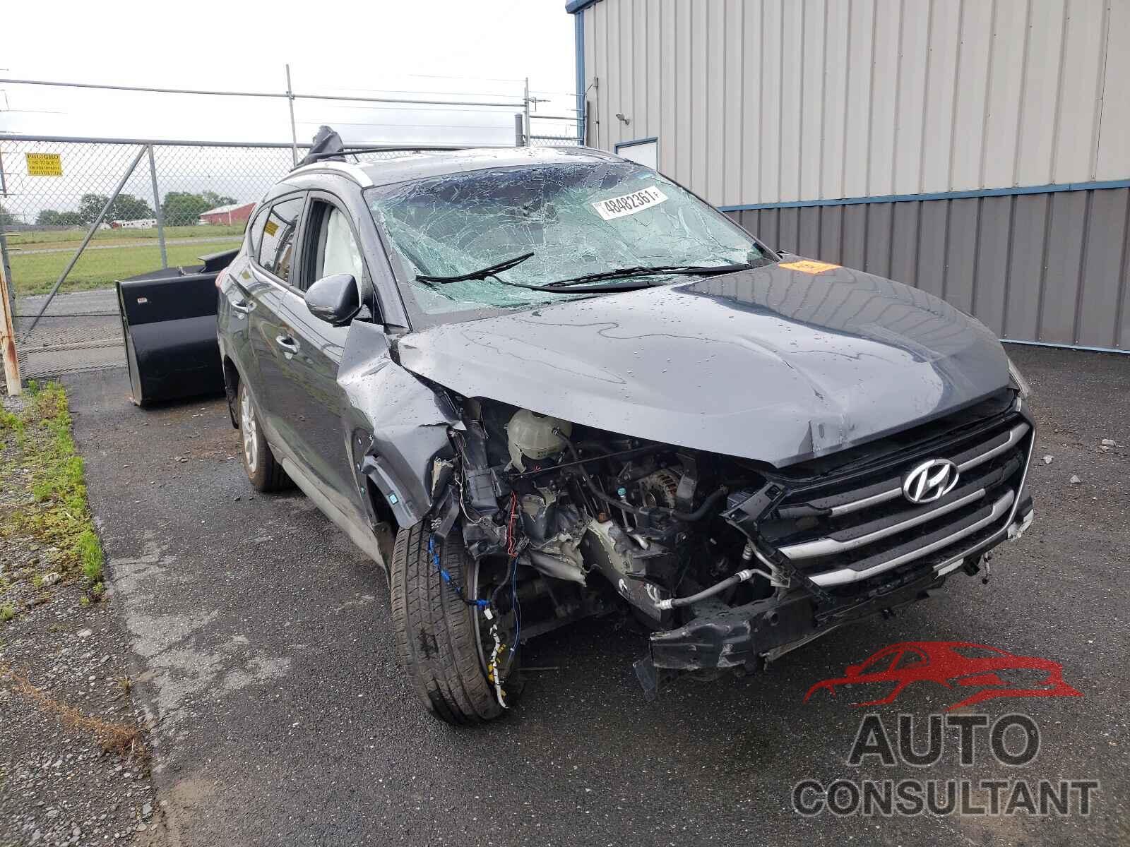 HYUNDAI TUCSON 2017 - KM8J33A42HU338675