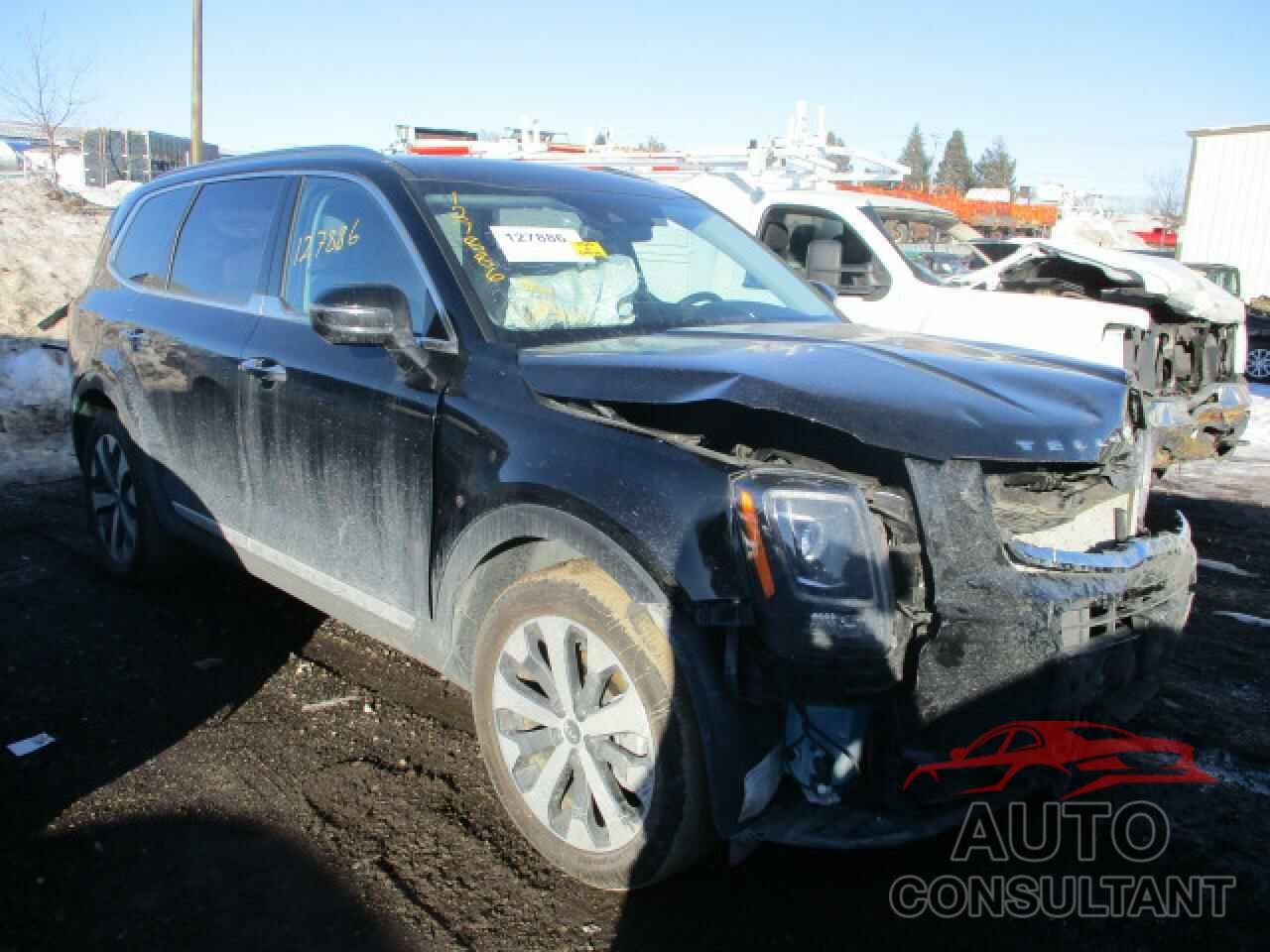 KIA TELLURIDE 2020 - 5XYP6DHC4LG087130