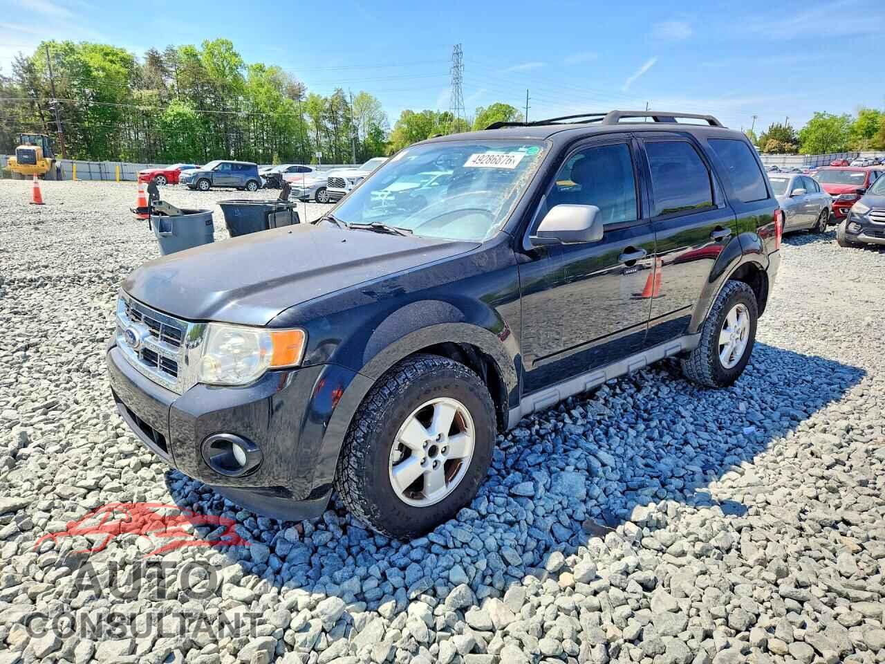 FORD ESCAPE 2010 - 1FMCU0DG7AKB10599