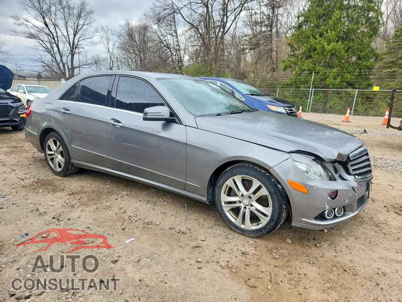 MERCEDES-BENZ E-CLASS 2010 - WDDHF8HB5AA165730