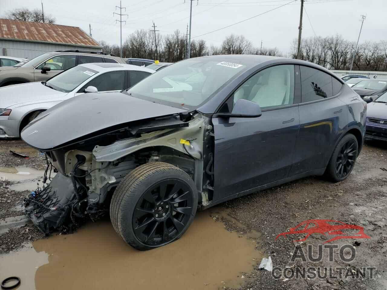 TESLA MODEL Y 2022 - 7SAYGAEE6NF419233