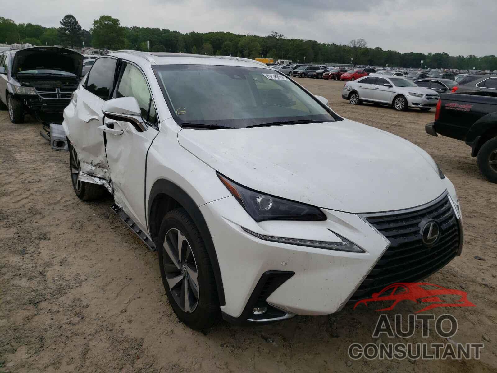 LEXUS NX 2019 - JTJYARBZ4K2137043