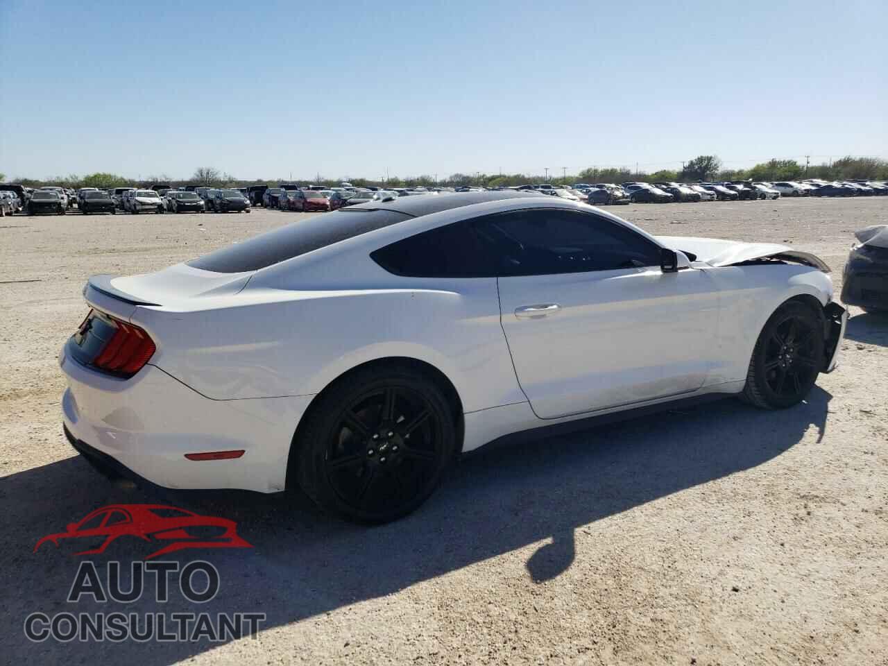 FORD MUSTANG 2019 - 1FA6P8TH2K5123073