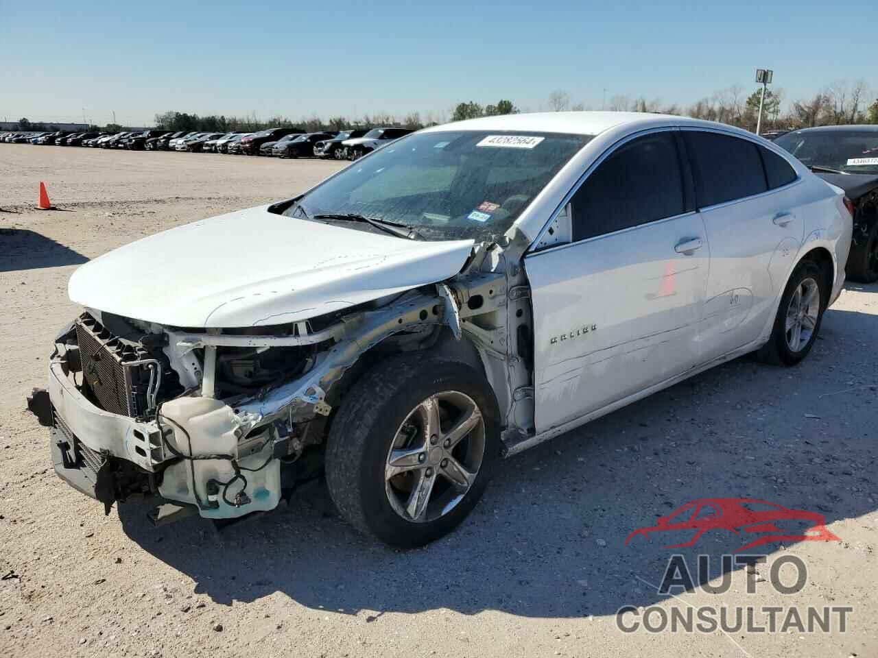 CHEVROLET MALIBU 2019 - 1G1ZB5ST1KF175372