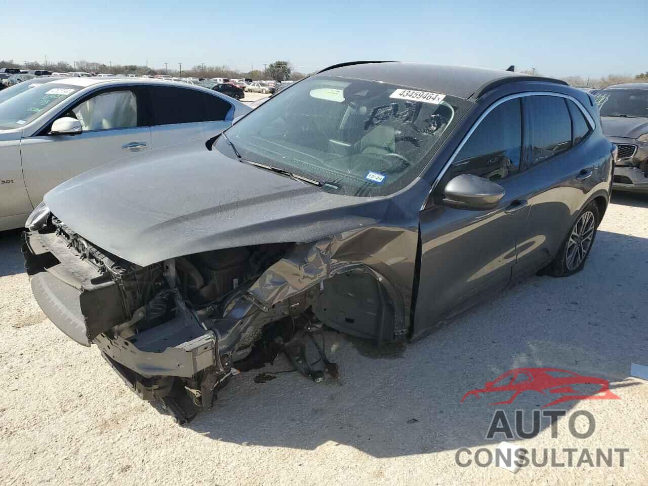 FORD ESCAPE 2022 - 1FMCU0H61NUB94561