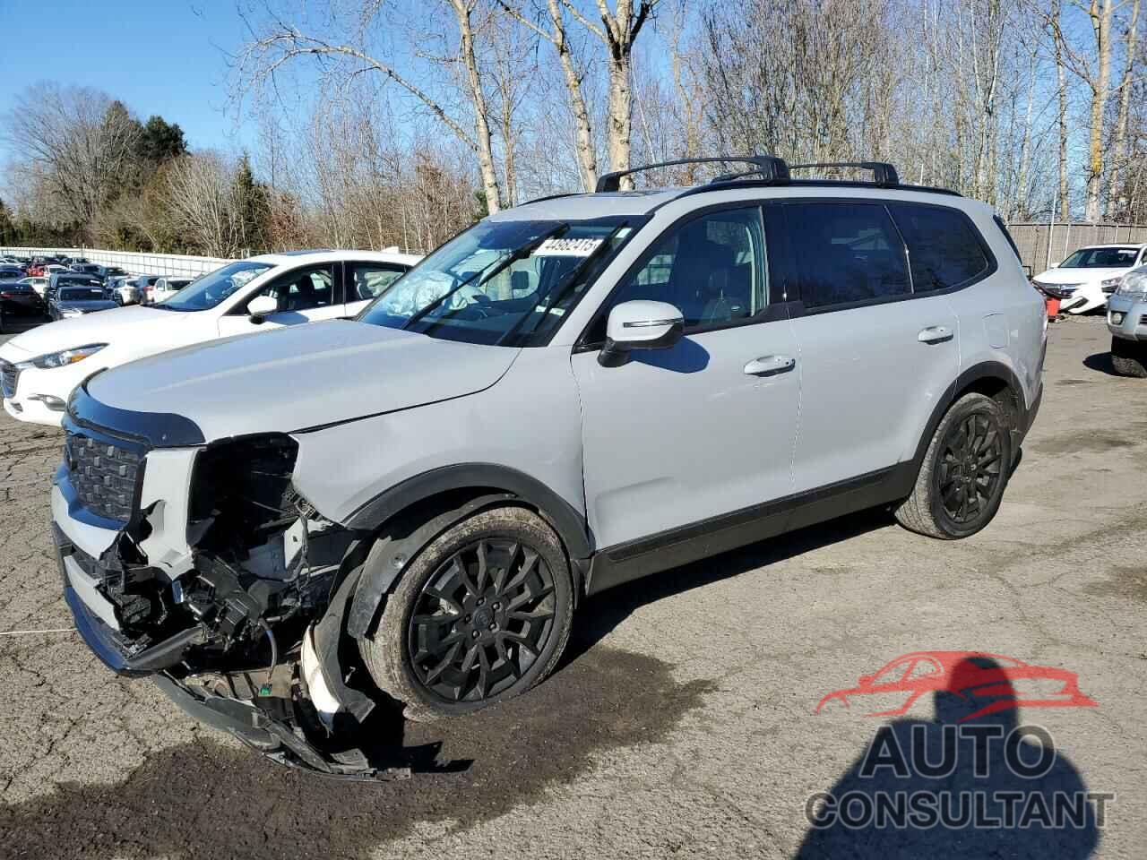 KIA TELLURIDE 2021 - 5XYP3DHC2MG167665