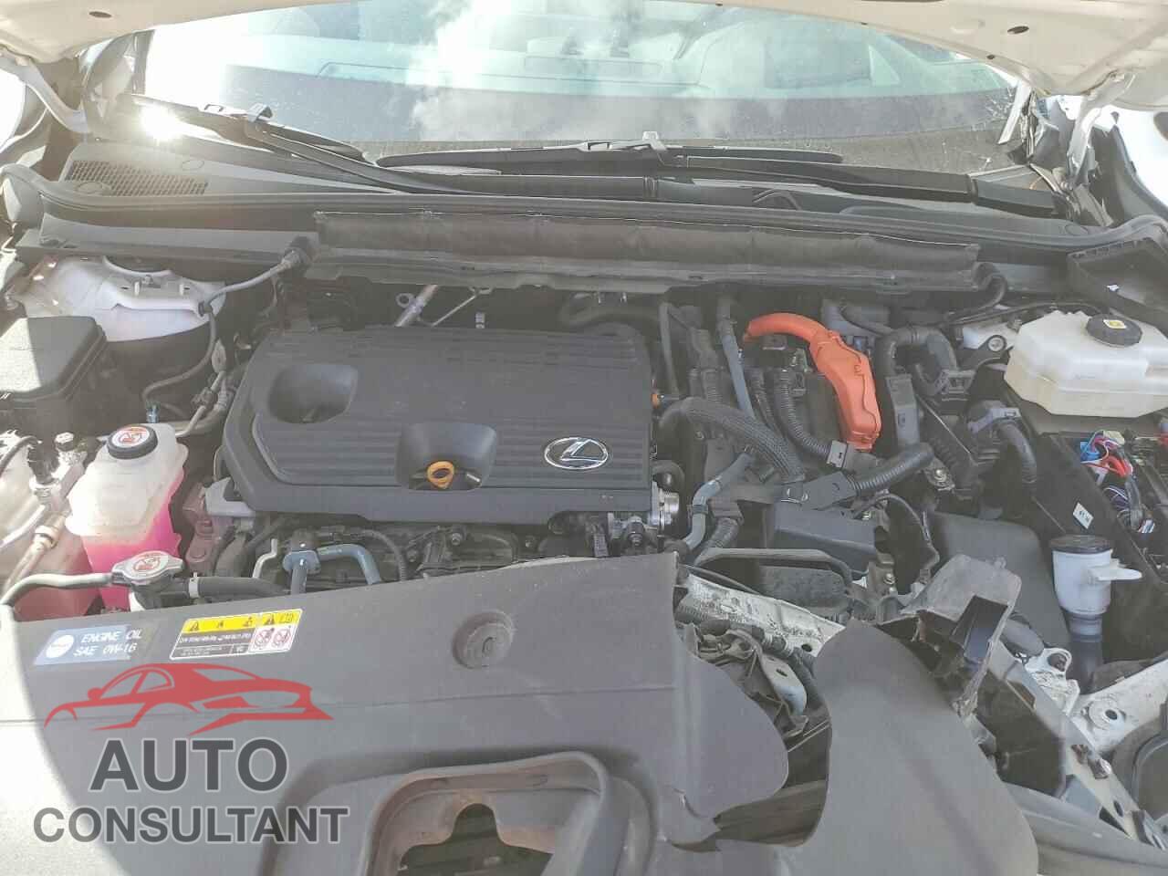LEXUS RX300 2023 - 2T2BBMCA4PC016793