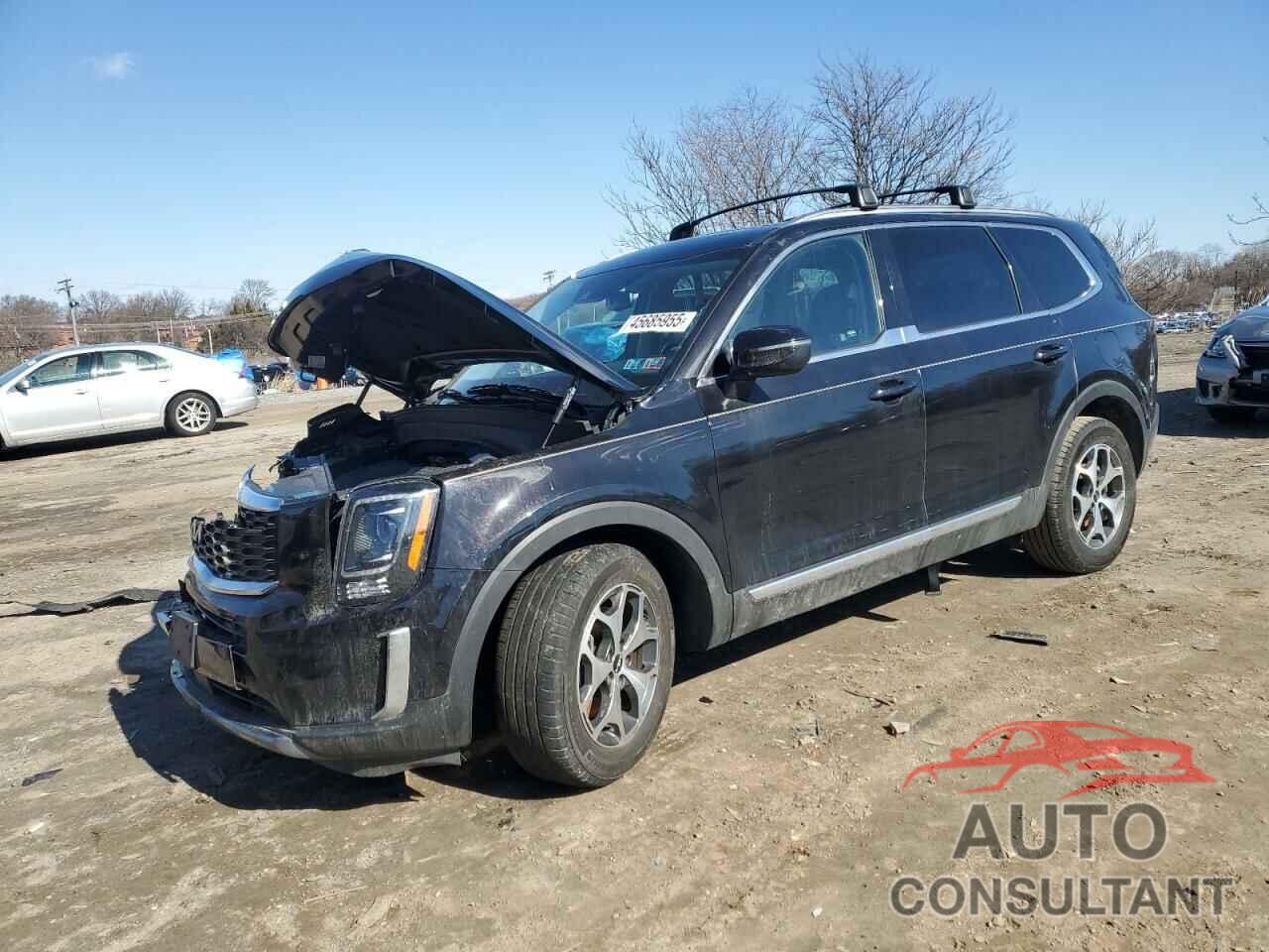 KIA TELLURIDE 2022 - 5XYP3DHC8NG283096