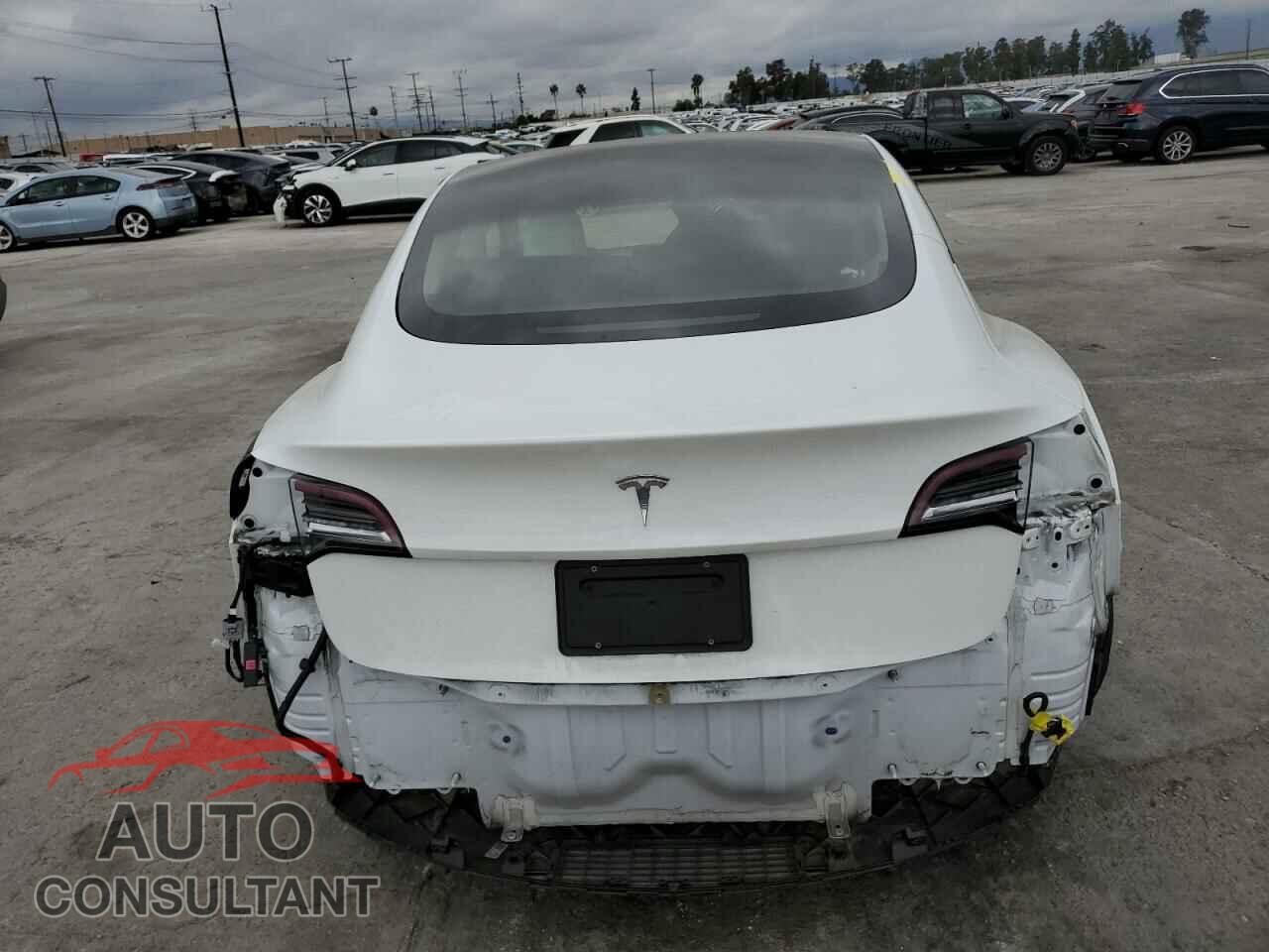 TESLA MODEL 3 2021 - 5YJ3E1EA5MF989748