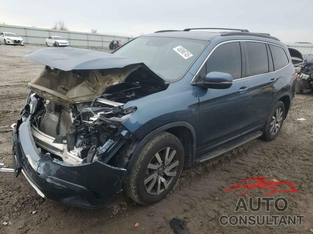 HONDA PILOT 2019 - 5FNYF6H55KB071719