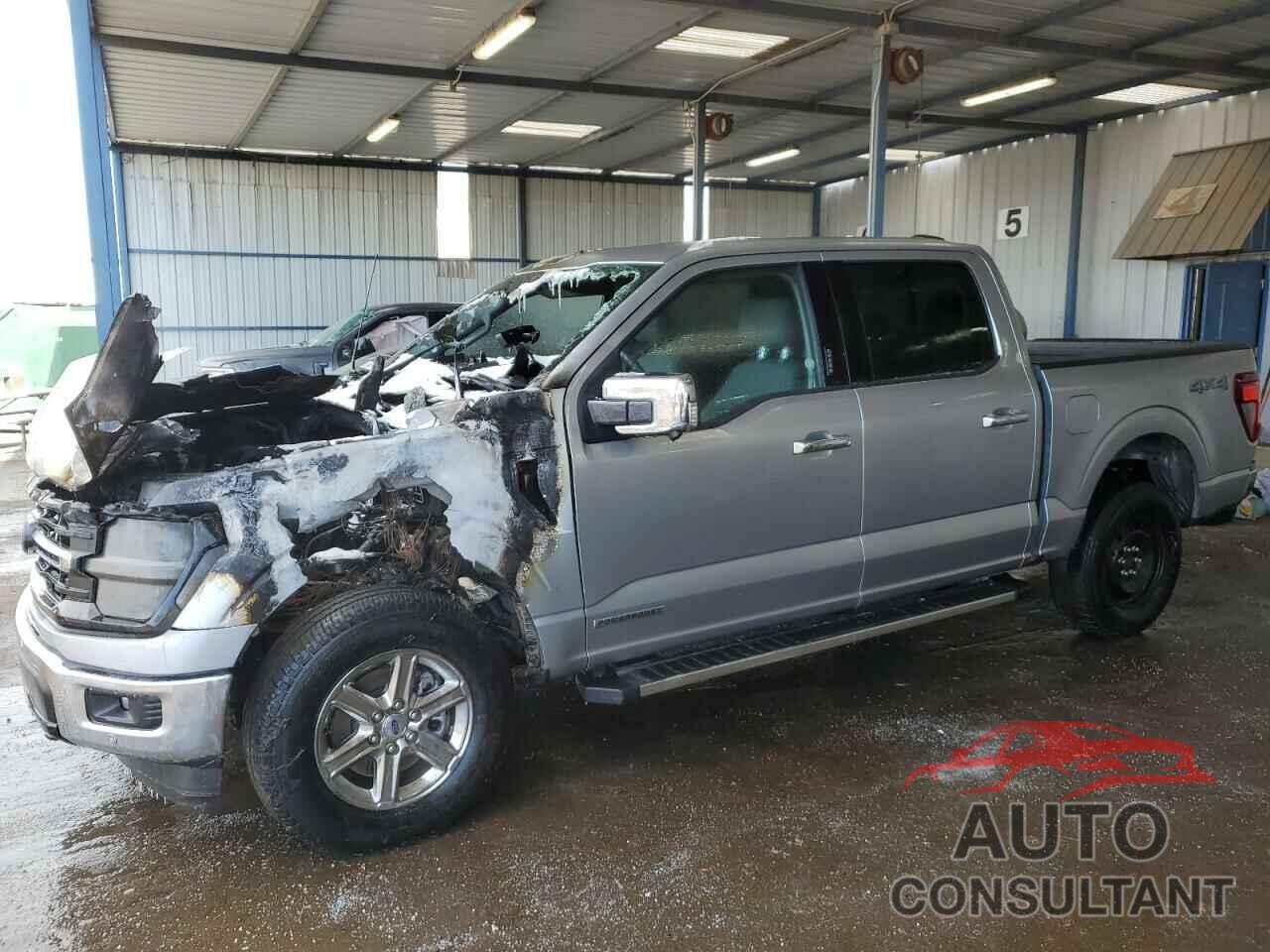 FORD All Models 2024 - 1FTFW3LD9RFA16491