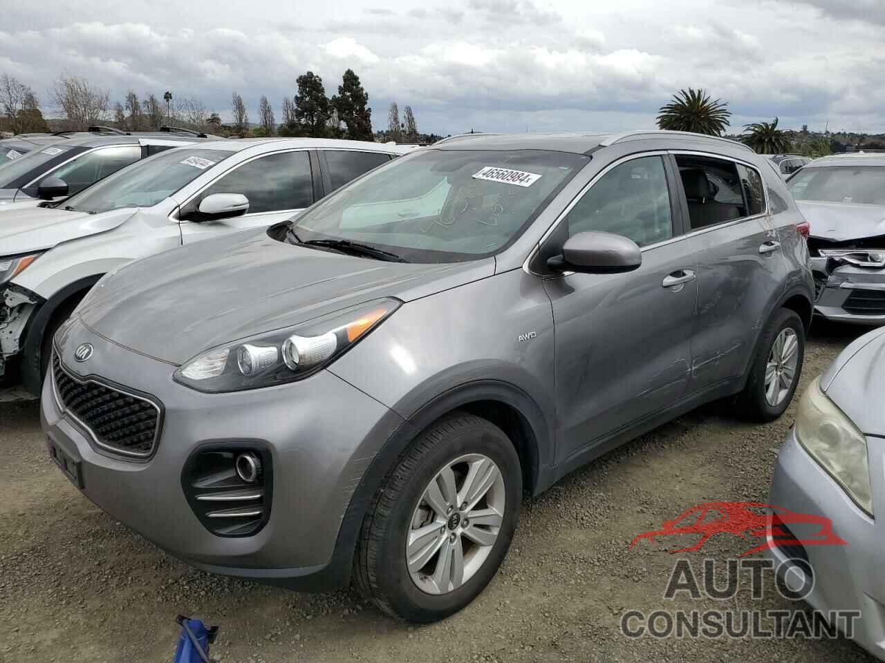 KIA SPORTAGE 2017 - KNDPMCAC7H7073835