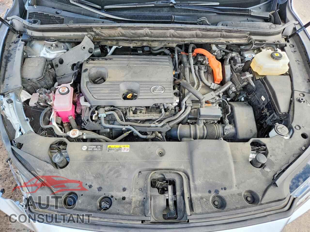LEXUS RX 350H 2023 - 2T2BBMCA4PC018995