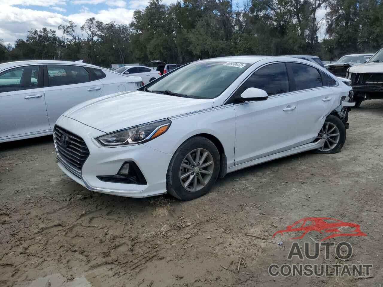 HYUNDAI SONATA 2018 - 5NPE24AF7JH708597