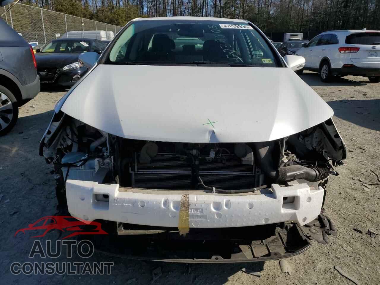 LEXUS HS 2010 - JTHBB1BA1A2006568