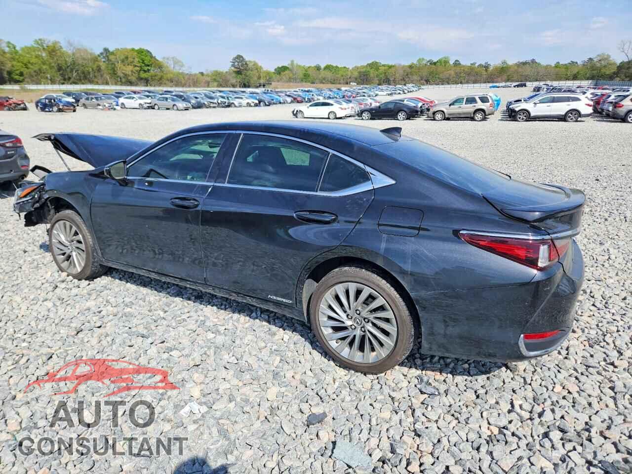 LEXUS ES300 2022 - 58AFA1C18NU018428
