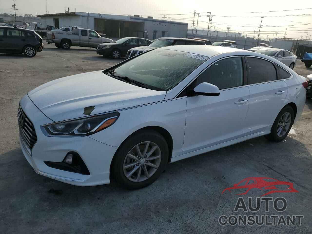 HYUNDAI SONATA 2019 - 5NPE24AF0KH747582