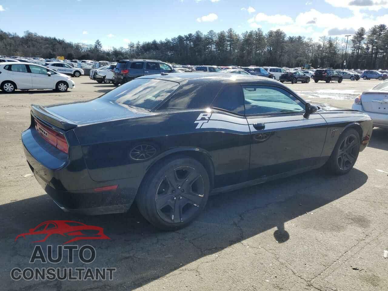 DODGE CHALLENGER 2013 - 2C3CDYBT2DH579277